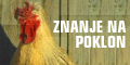 Znanje na poklon